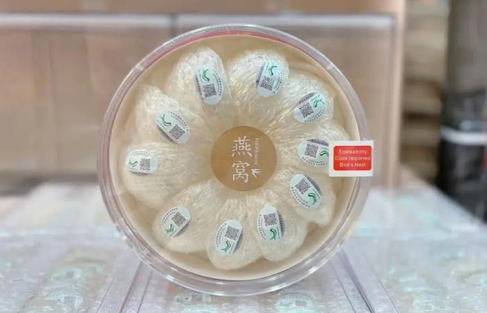 大安燕窝回收